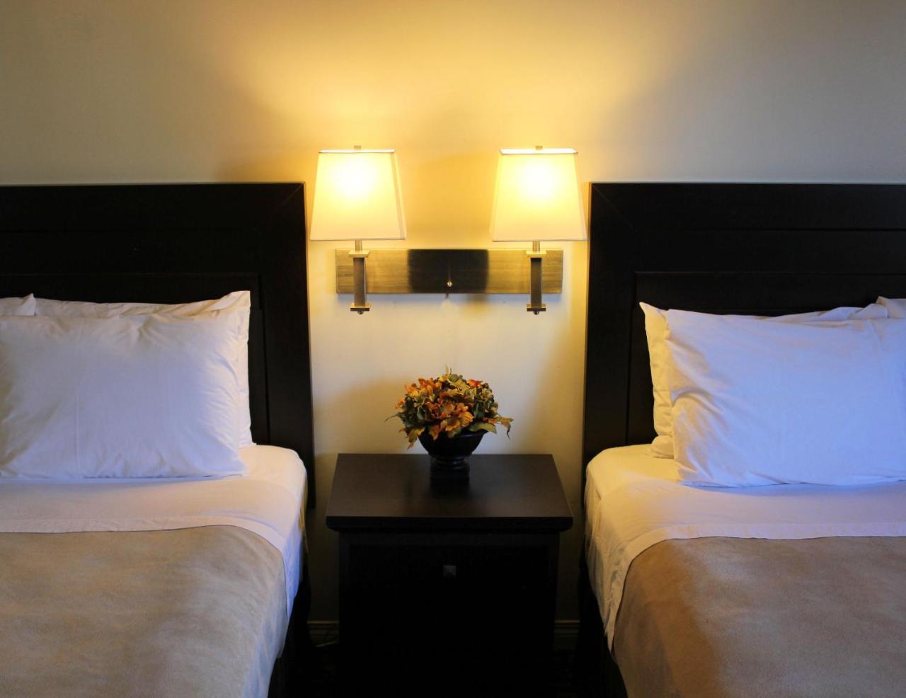Coronet Hotel Prince Albert Bagian luar foto